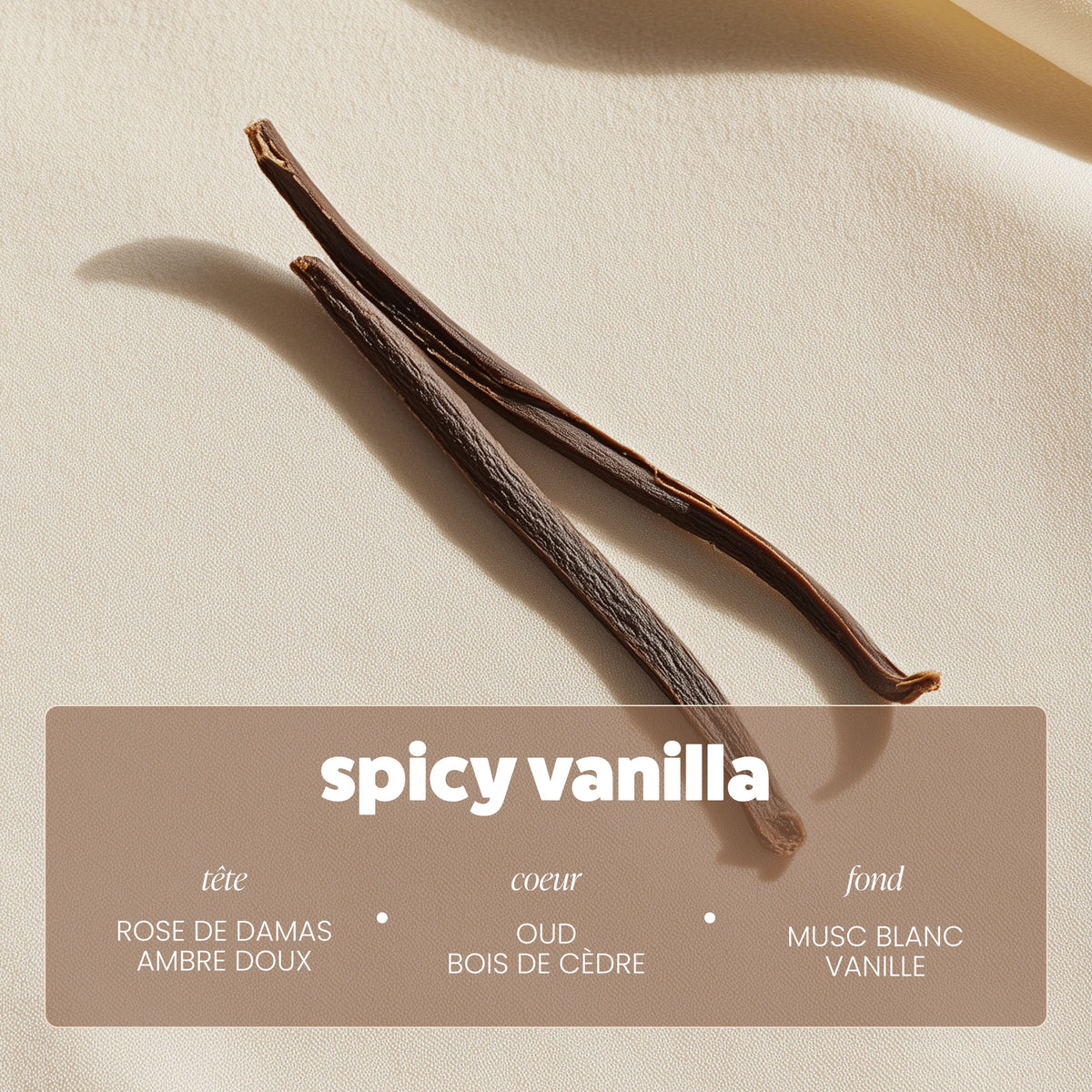 Parfum Spicy Vanilla